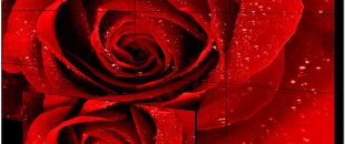 店員瘋狂發(fā)傳單，顧客卻頭也不抬？LED廣告機‘強制吸睛’的5個心機設計”